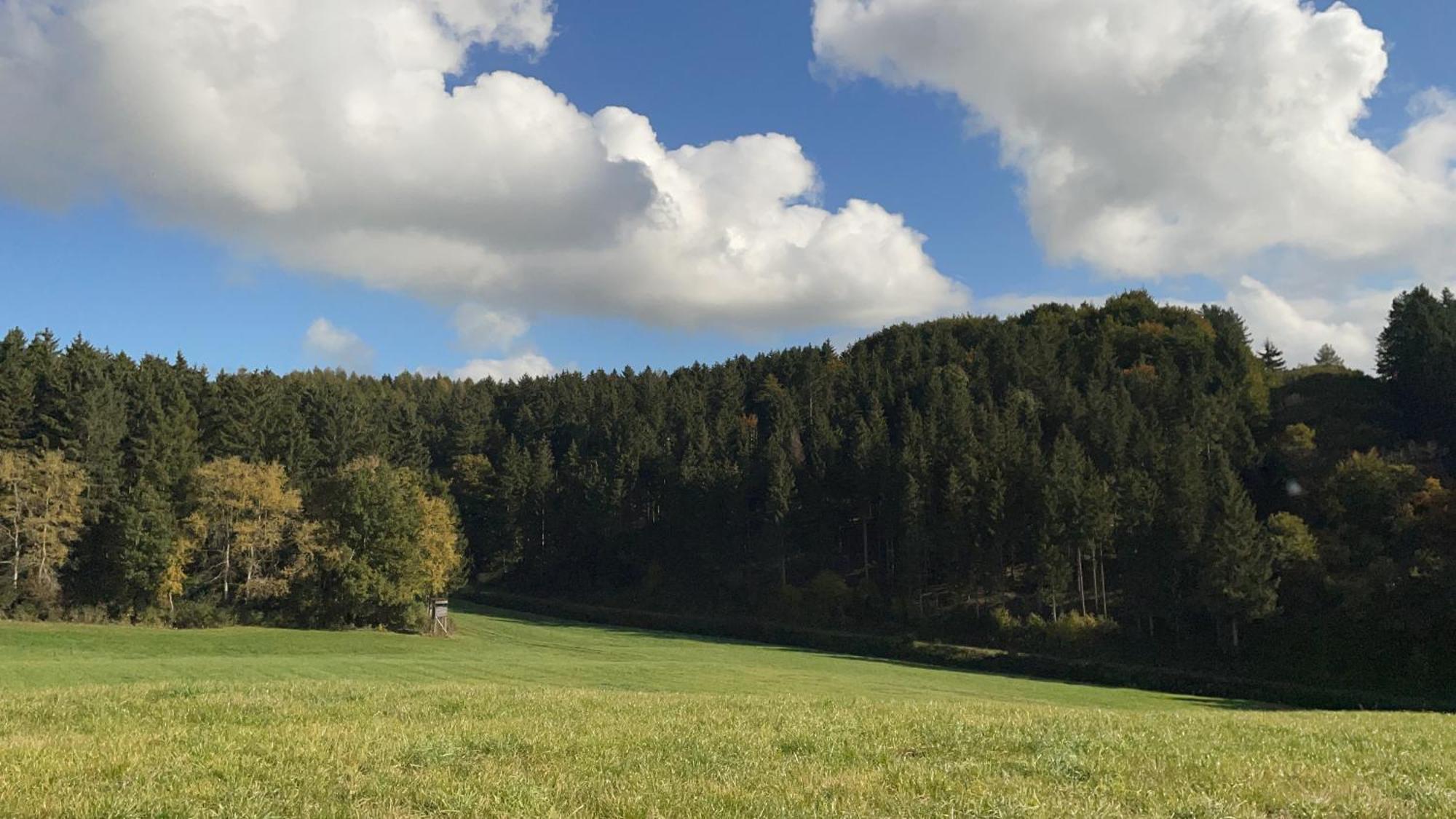 Feusdorf Deine-Eifel-Ferienwohnung מראה חיצוני תמונה