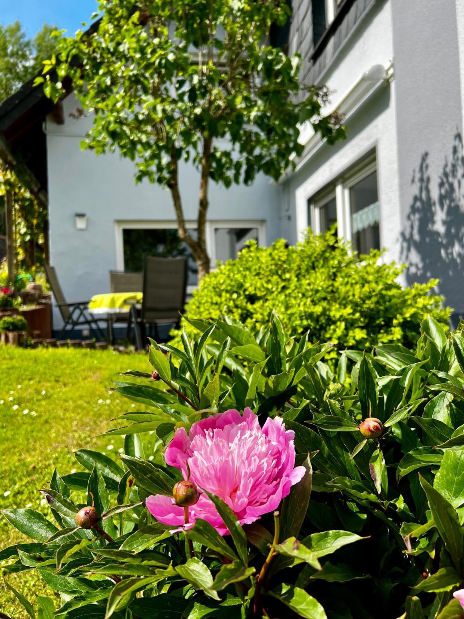 Feusdorf Deine-Eifel-Ferienwohnung מראה חיצוני תמונה