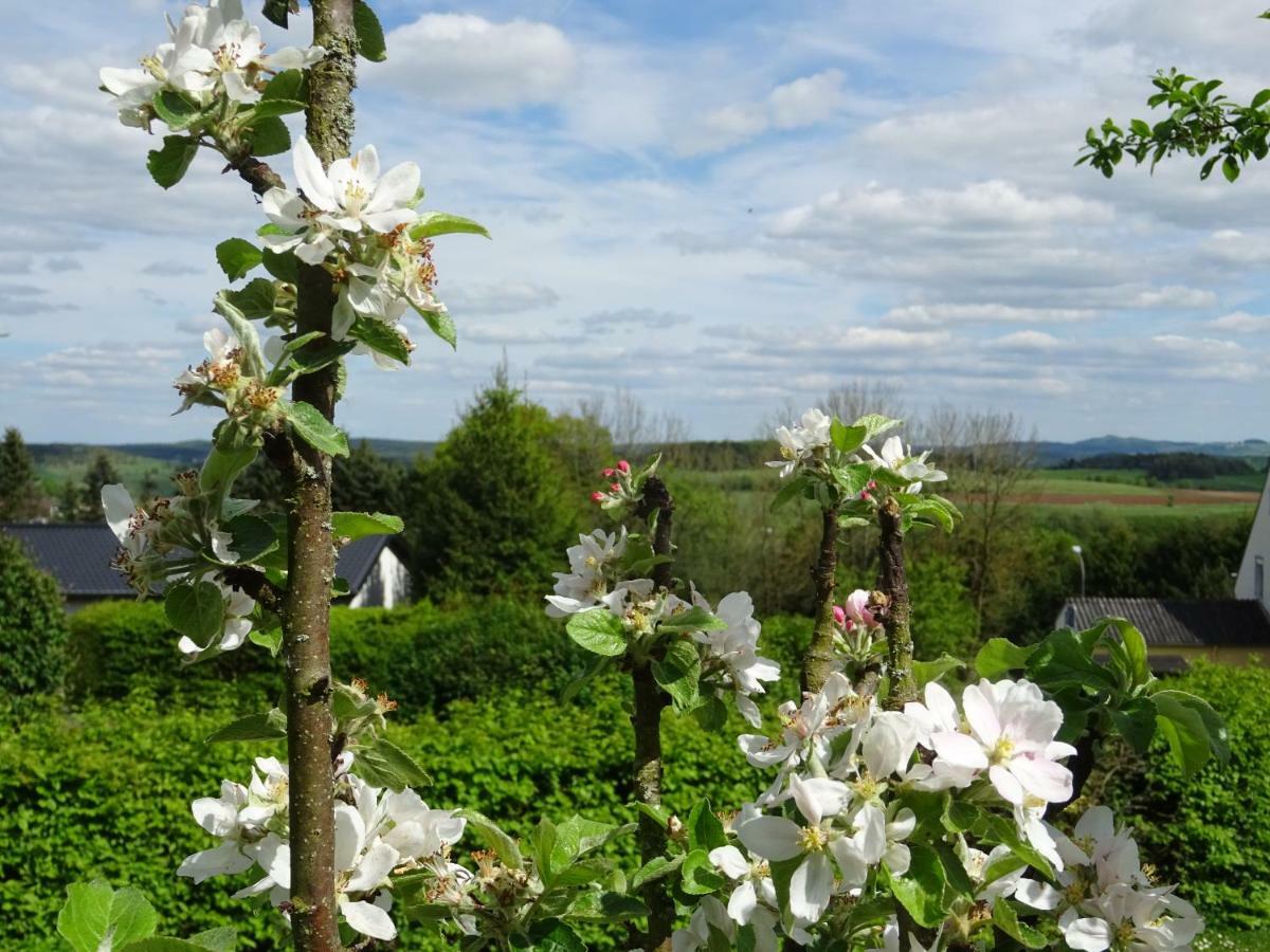 Feusdorf Deine-Eifel-Ferienwohnung מראה חיצוני תמונה